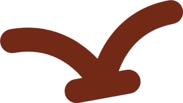 鸟动物海鸥手绘装饰