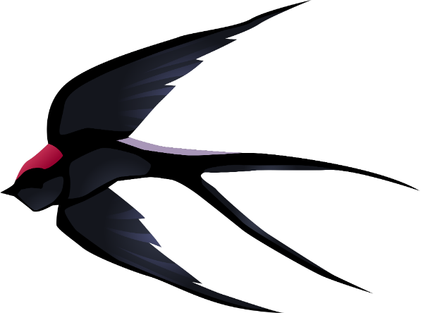 鸟燕子动物飞翔手绘