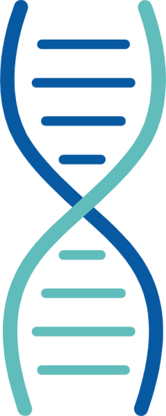 基因基因链螺旋遗传遗传学