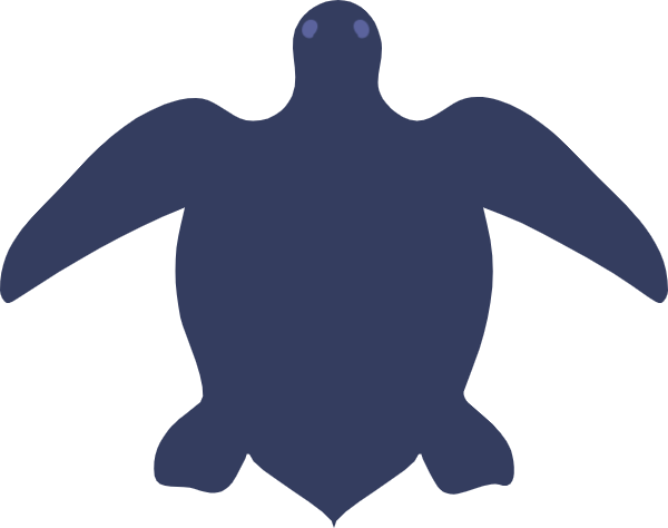 海龟动物水生生物生物卡通